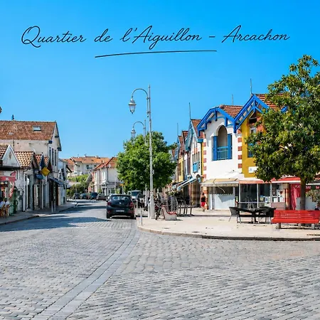 Ponpon - Piscine - Aiguillon